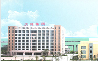 江蘇慶峰國(guó)際環(huán)保工程有限公司合作案例